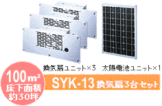 syk13.gif